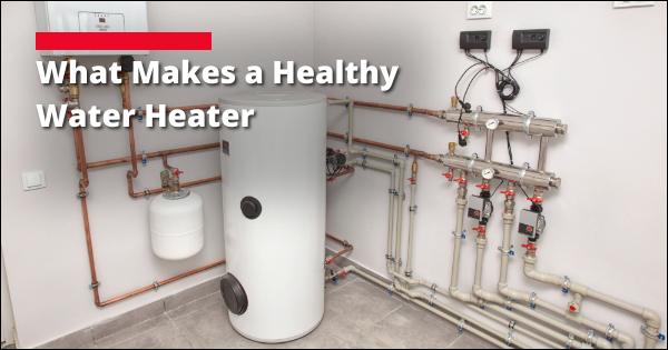 Water Heaters & How You Can Avoid Water Restoration | Hammer