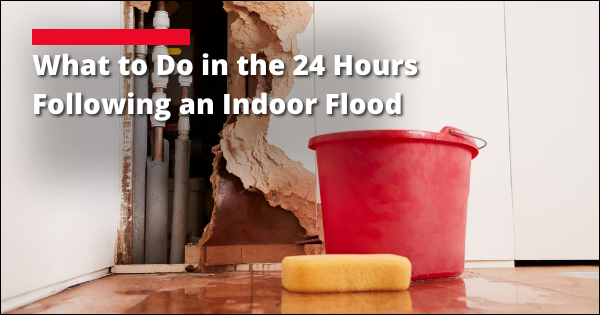 Flood Restoration: 24 Hours Following The Flood | Hammer Restoration