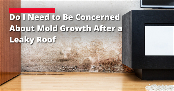 How To Prevent Mold Growth With A Leaky Roof | Hammer Restoration