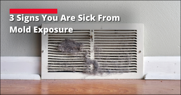 3 Signs You Are Sick From Mold Exposure | Mold Remediation Services