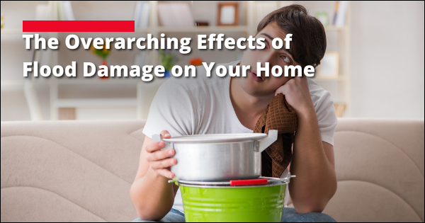 The Overarching Effects of Flood Damage on Your Home | Hammer