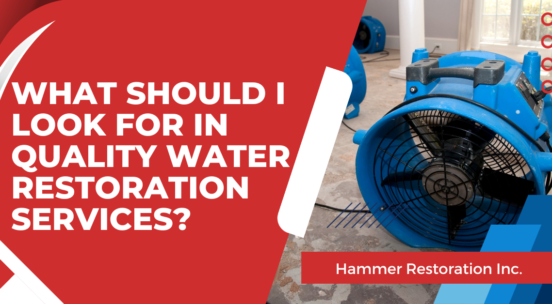 What To Look For In Quality Water Restoration Services | Hammer