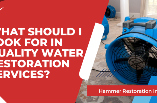 What To Look For In Quality Water Restoration Services | Hammer