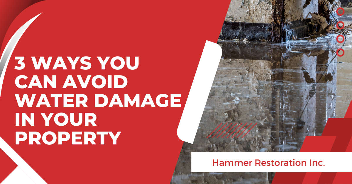 You Can Avoid Water Damage in Your Property | Hammer Restoration