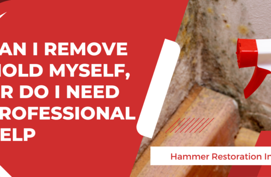 DIY vs Professional Mold Removal | Restoration Company | Hammer