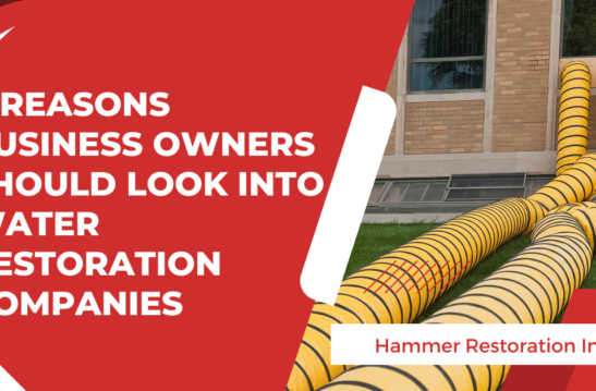 Commercial Properties In Need of Water Restoration | Hammer