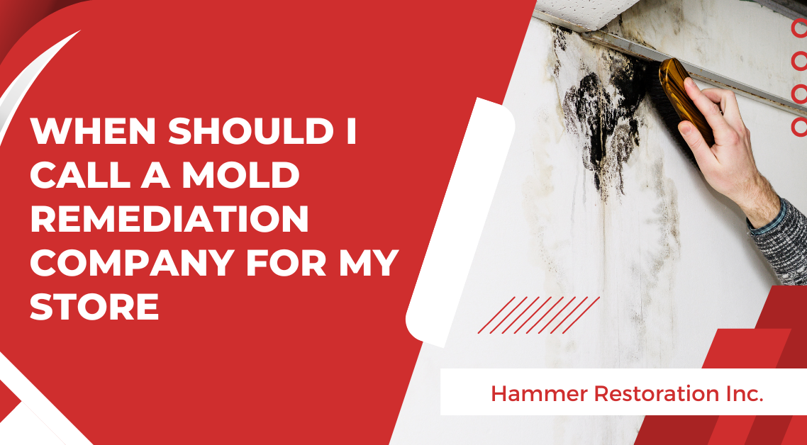 When Should I Call a Mold Remediation Company for My Store | Hammer Restoration