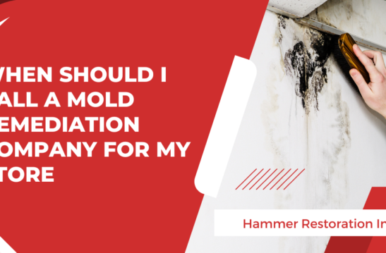 When Should I Call a Mold Remediation Company for My Store | Hammer Restoration