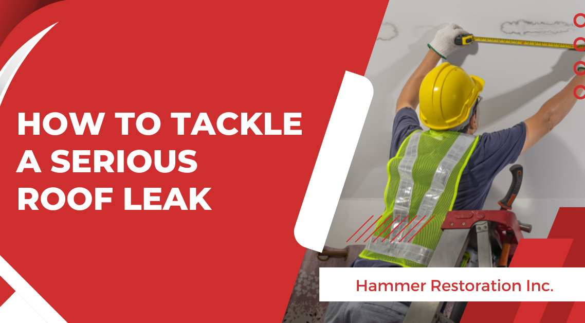 How To Tackle A Leak By Flood Restoration Company | Hammer