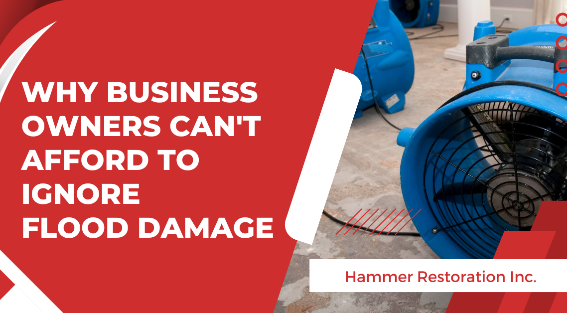 Why Business Owners Can't Afford to Ignore Flood Damage