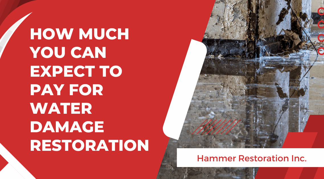 How Much You Can Expect to Pay for Water Damage Restoration