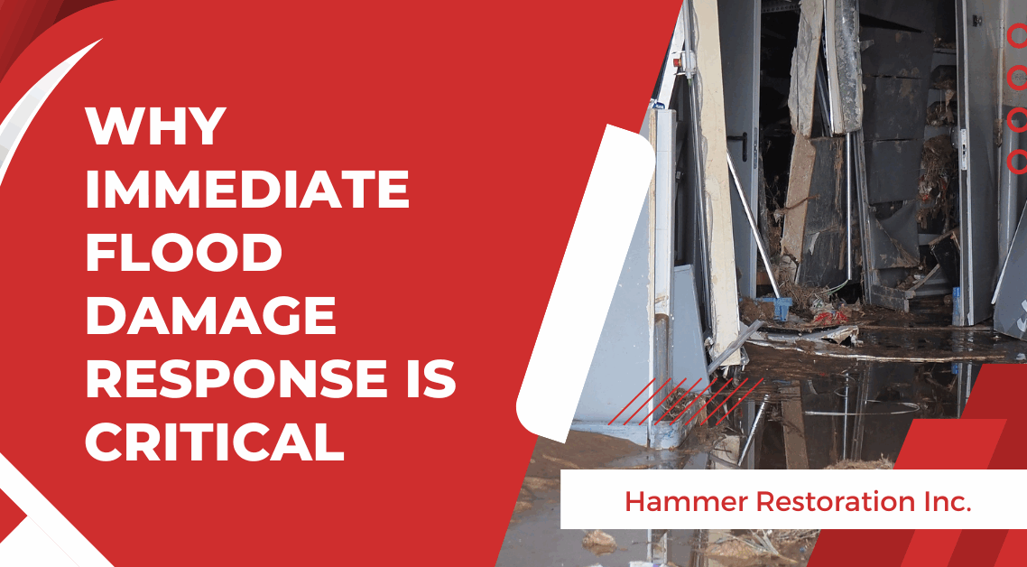 Why Immediate Flood Damage Response Is Critical In Michigan