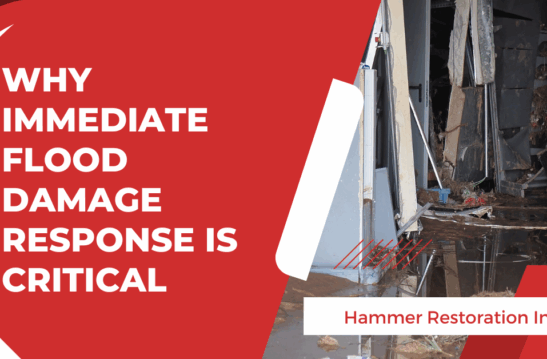 Why Immediate Flood Damage Response Is Critical In Michigan
