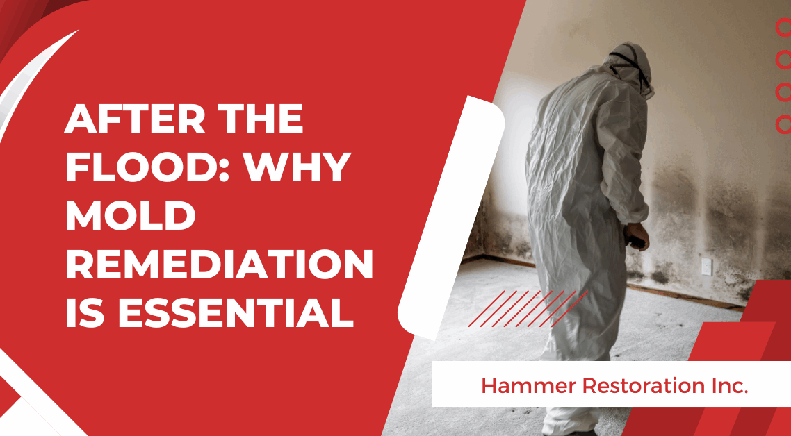 After the Flood Why Mold Remediation Is Essential - Hammer Restoration - Sep 2025