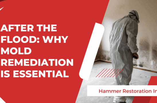 After the Flood Why Mold Remediation Is Essential - Hammer Restoration - Sep 2025